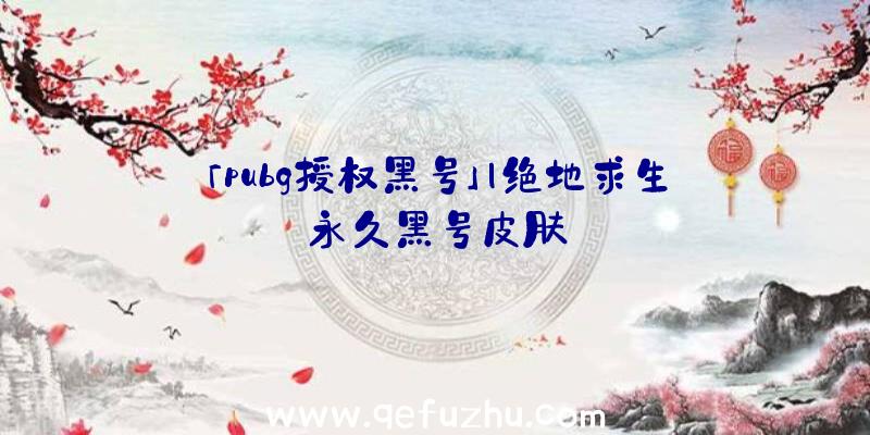 「pubg授权黑号」|绝地求生永久黑号皮肤